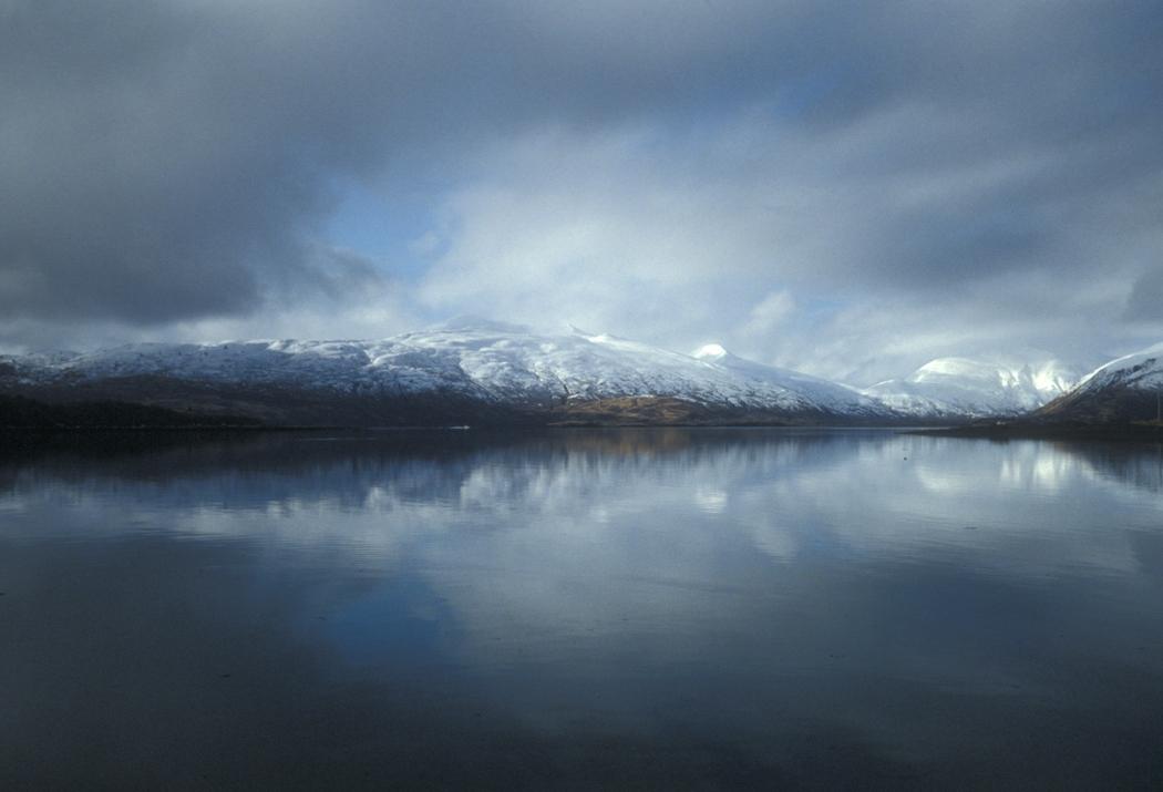 Womens Bay