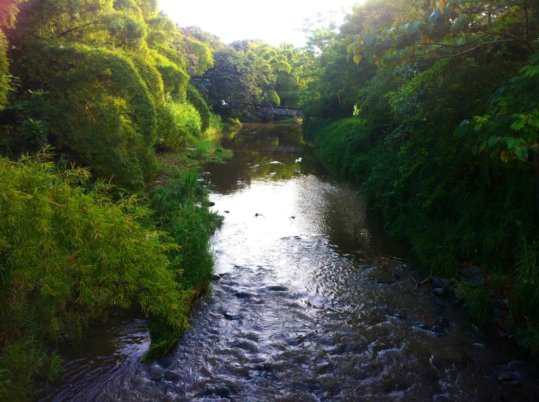 Piedras River (San Juan