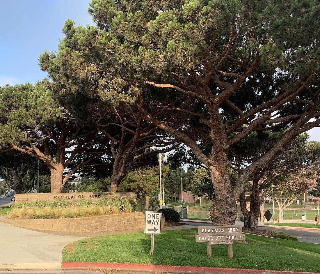 Recreation Park (El Segundo)