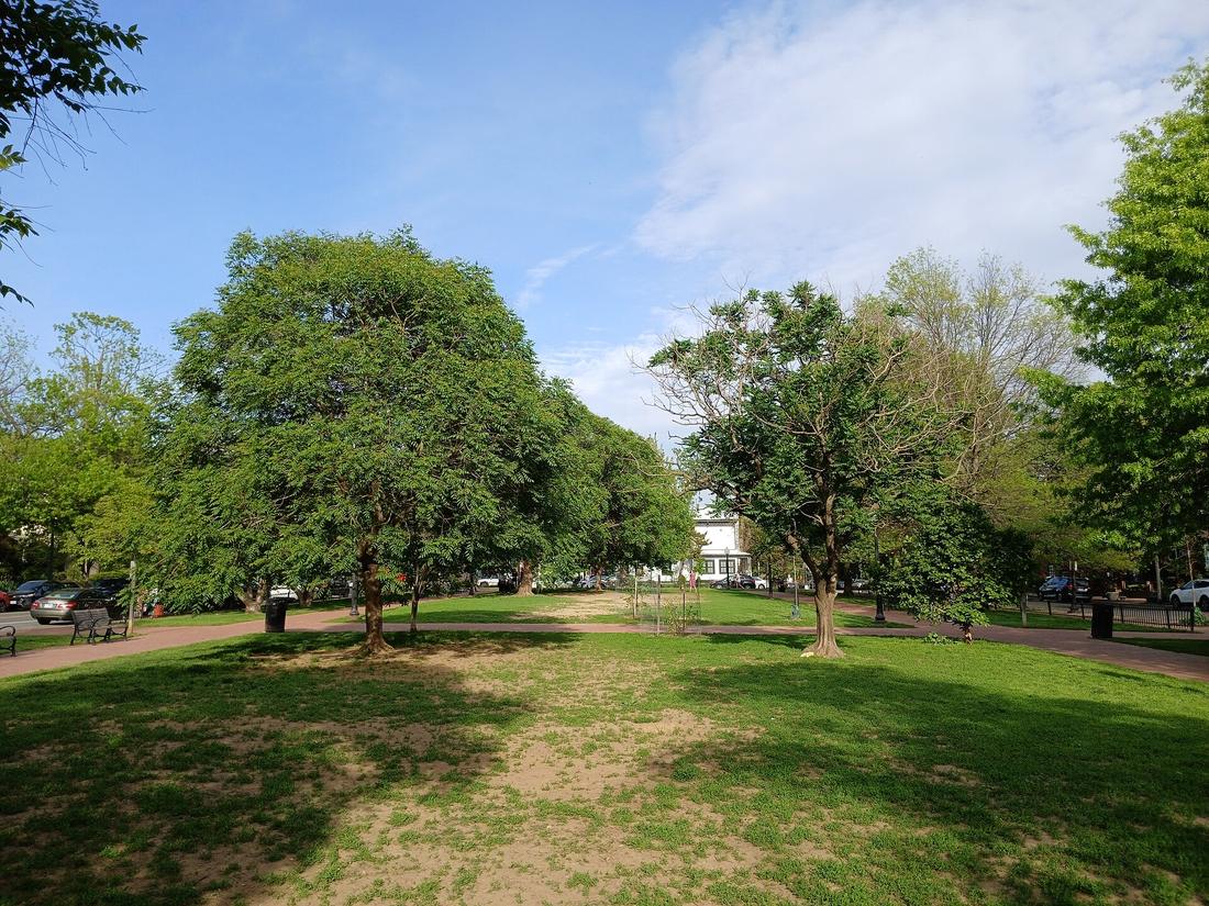Marion Park