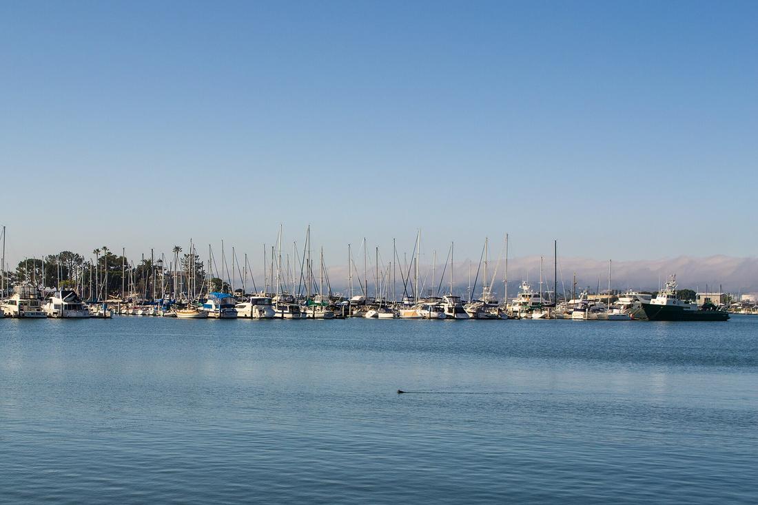 Harbor Island