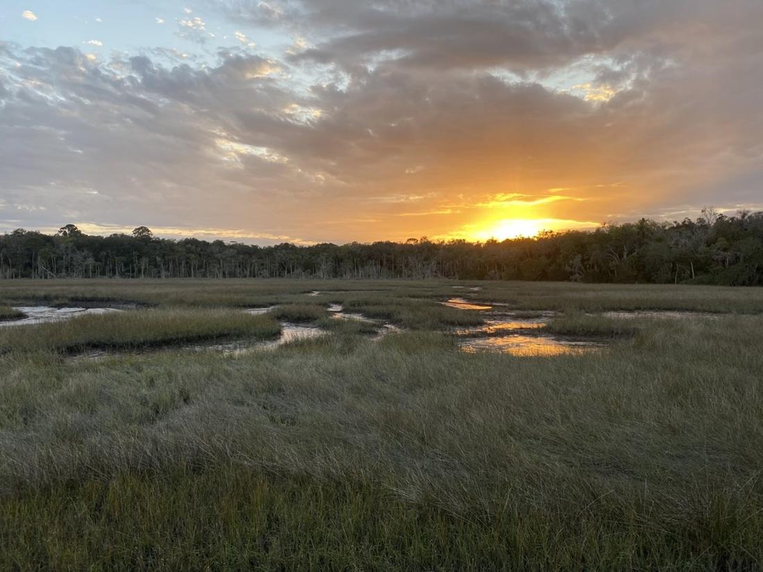 Timucuan Ecological and Historic Preserve