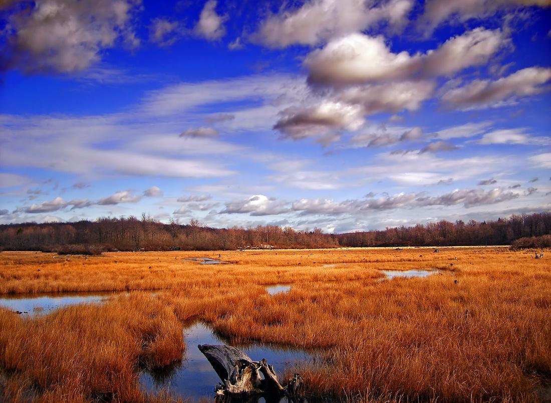 Gouldsboro State Park