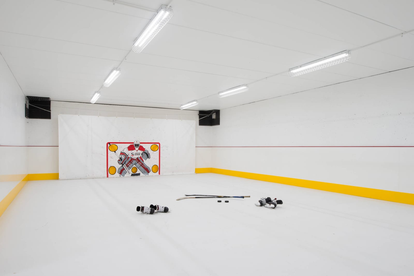 Contemporary home gym